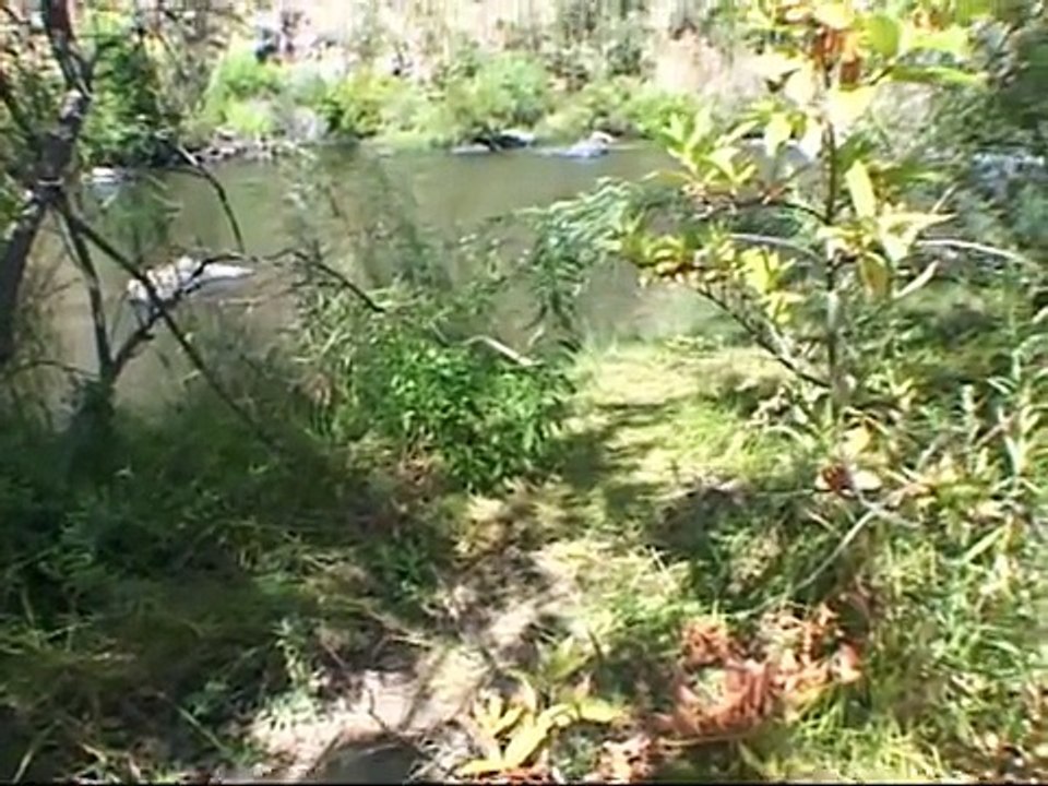 How to make T bar snare trap - Handmade