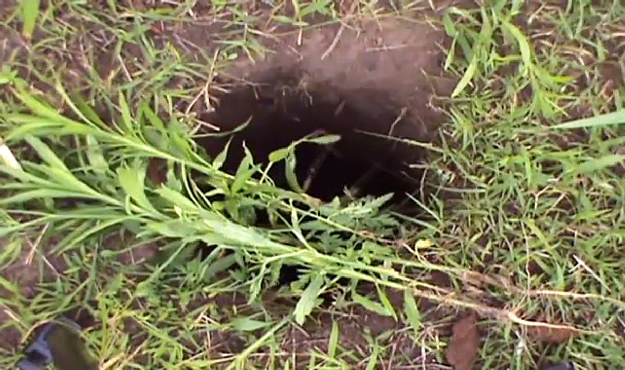 Apache Foot Trap - Handmade