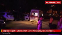 Dağlıca'da Şehit Olan Uzman Çavuş Aslangiray'ın Adana'daki Ailesine Acı Haber Verildi