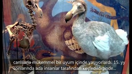 Nesli tükenen hayvanlar