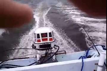 1991 Johnson 25 HP Outboard