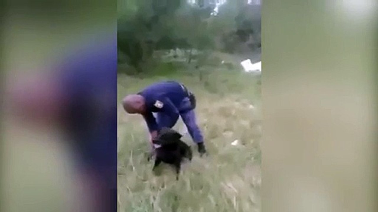 Screaming-policeman-runs-for-his-life - Video Dailymotion