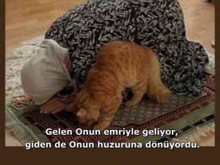 Bin aydan hayırlı-Selim Gündüzalp