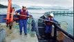 Salmon Farmers Create The Global Salmon Initiative (GSI)