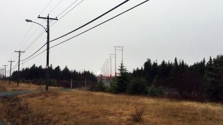 YYT Runway 29 Approaching Lighting