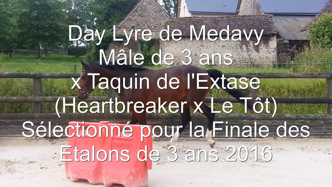 Day Lyre de Medavy