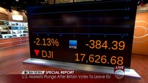 Special Report  U.S. markets plunge after Britain votes to leave EU