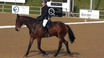 Unaffilated Dressage at Crofton Manor 14th September 2014 (Prelim 19)