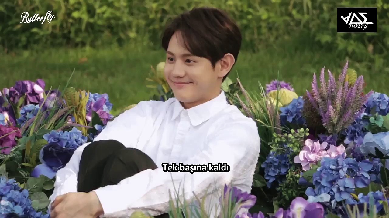 BEAST - Butterfly Klip Çekimleri Türkçe Altyazılı