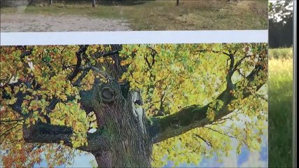 Tour zur Kreuzeiche und zum Gumbertusbrünnlein  -  24. und 25. Jui 2016