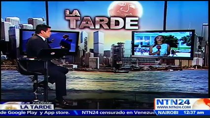 "Viene en franca caída por su propia culpa": estratega político sobre baja popularidad de Trump en EE.UU.