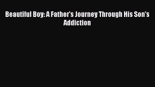 Read Beautiful Boy: A Father's Journey Through His Son's Addiction Ebook Online