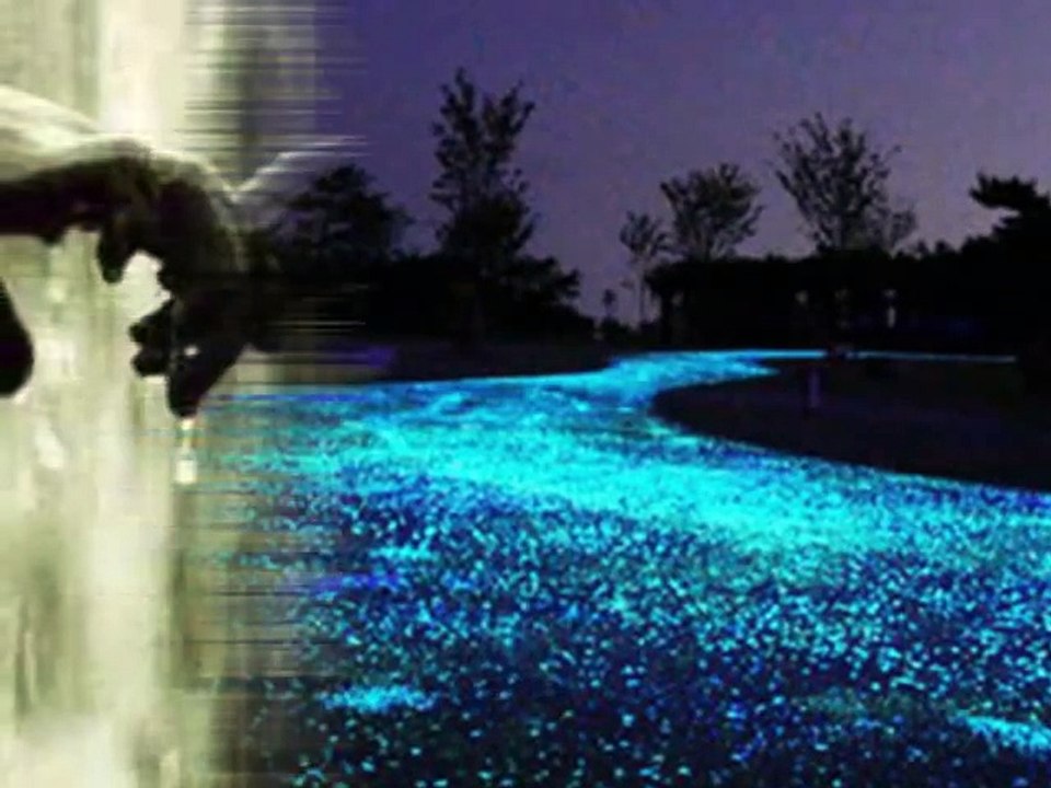 Αδεια μου αγκαλιά-Ράνια Τέκου