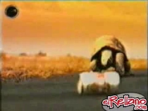 Tortue (Bière) 1°partie