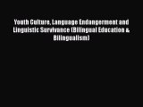 Read Youth Culture Language Endangerment and Linguistic Survivance (Bilingual Education & Bilingualism)
