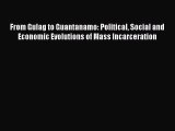 PDF From Gulag to Guantanamo: Political Social and Economic Evolutions of Mass Incarceration