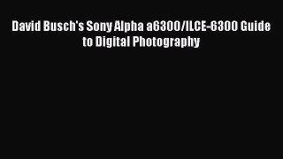 Read David Busch's Sony Alpha a6300/ILCE-6300 Guide to Digital Photography PDF Free