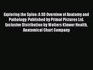 Read Exploring the Spine: A 3D Overview of Anatomy and Pathology: Published by Primal Pictures