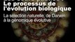 La sélection naturelle, de Darwin à la génomique évolutive (cycle Le processus de l'évolution biologique 2/3)