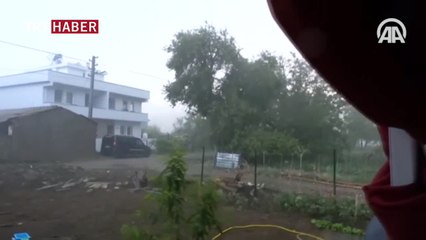 Şiddetli fırtına ağaçları devirdi, tekne batırdı