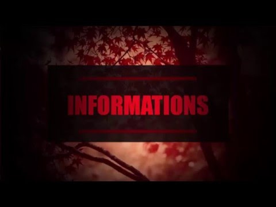 INFOS - STRIKE,TWITTER,0.2k - 2016