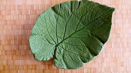 Web Design Delray Beach