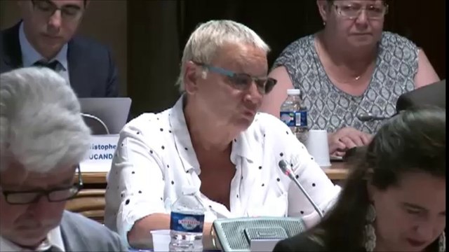 Colette POPARD. Discussion générale. Session du 27 juin 2016