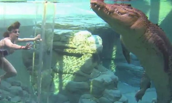 Bu havuza girmek cesaret ister