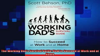 behold  The Working Dads Survival Guide How to Succeed at Work and at Home