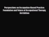 Download Perspectives on Occupation-Based Practice: Foundation and Future of Occupational Therapy