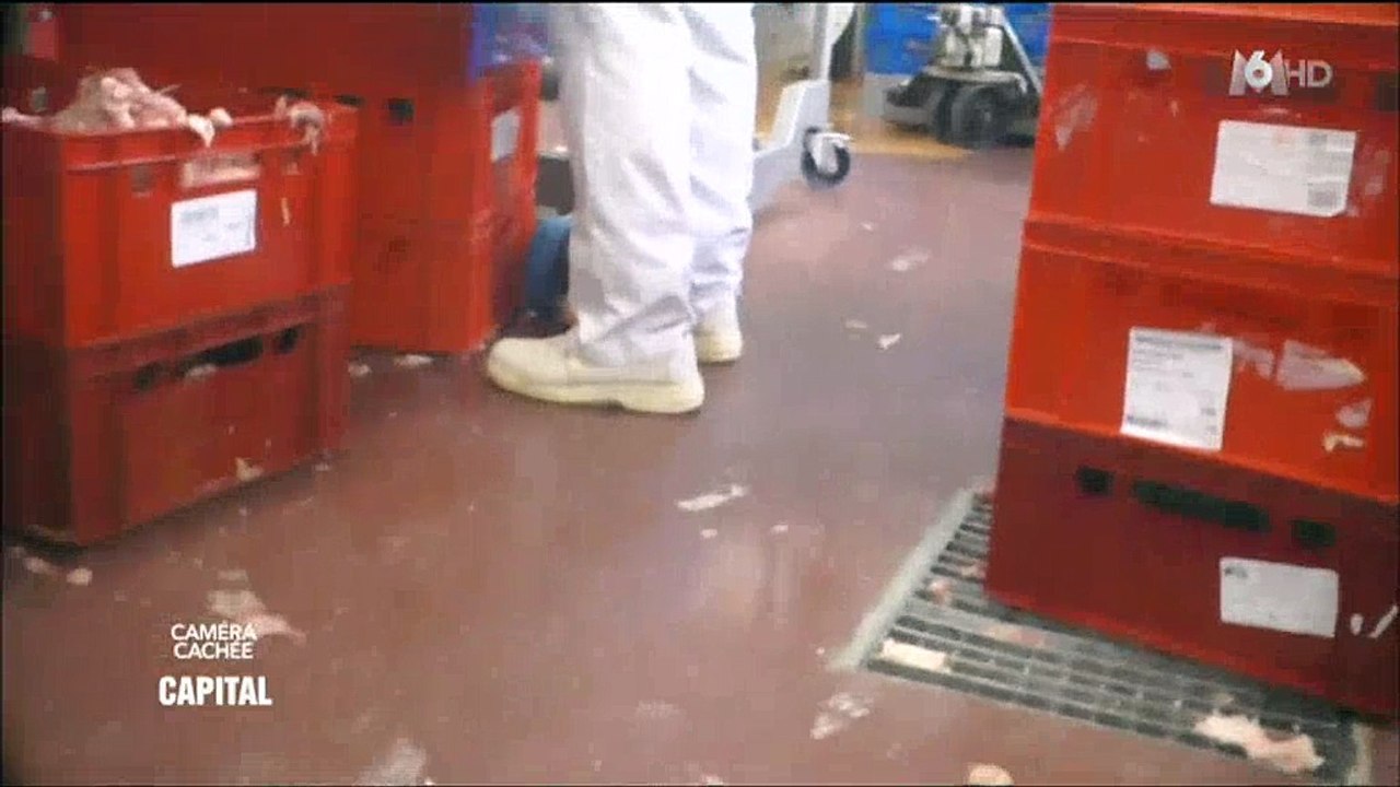 Capital : Dans les coulisses d'une société qui fabrique de la viande de kebabs... Ça fait peur ! Regardez