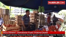 Geçiş Dönemi