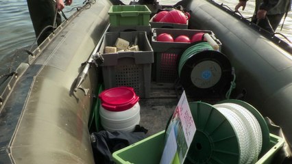 Pêche filet : connaître et surveiller le peuplement de poissons en plans d'eau