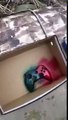 Xbox 360 wired controller paint job part 1