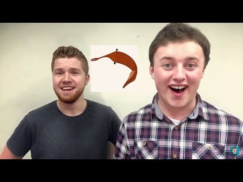 THE LOCH NESS MONSTER? (Feat. Jamie) || The Not So Miserable News!