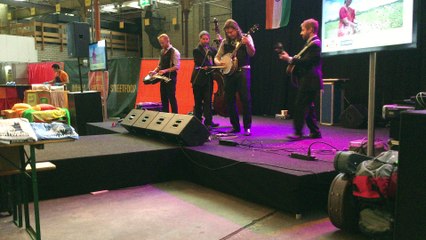 Henhouse Prowlers@Festival Mundial Tilburg 2016 (2)