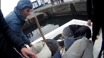 www ereglionder com tr eregli deniz alti kirlilik bozhane