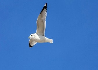 먹튀레이더 검증 ら「★」Superk34。CoM「★」검증된놀이터