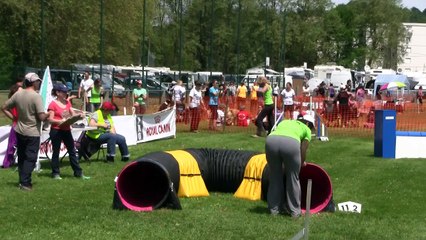 ELFEs Sélectif TGR 2016