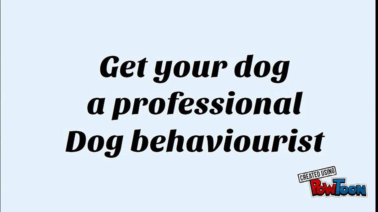 Get your dog a professional Dog behaviourist