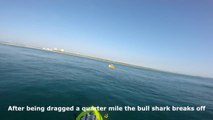 Découpage en deux d'un requin par un autre lors d'une pêche au Kayak !