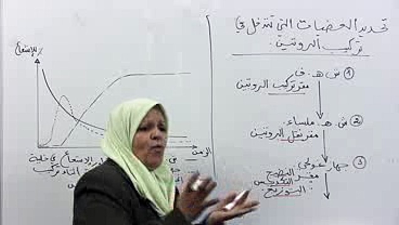 مصير البروتين بعد تركيبه