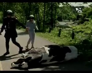 Best tezabi tottay-funny punjabi tottay-punjabi dubbed-must watch-funny video