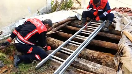 www ereglionder com tr eregli kedi operasyon itfaiye