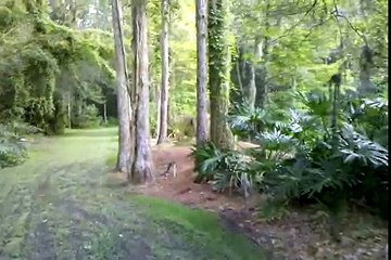 video-2010-07-22-19-04-53