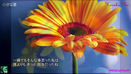 小さな星 奥華子 歌詞付き 動画 Dailymotion