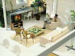 Harmful effects of mobile phones