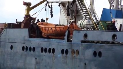 www ereglionder com tr eregli de kurtarilan gemi