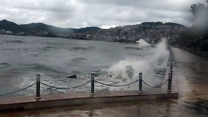 www ereglionder com tr karadenizereglisahili