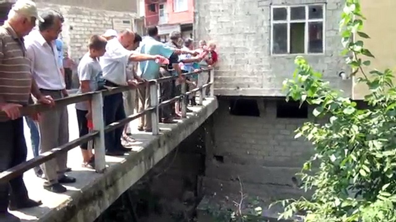 dere gülsuyu